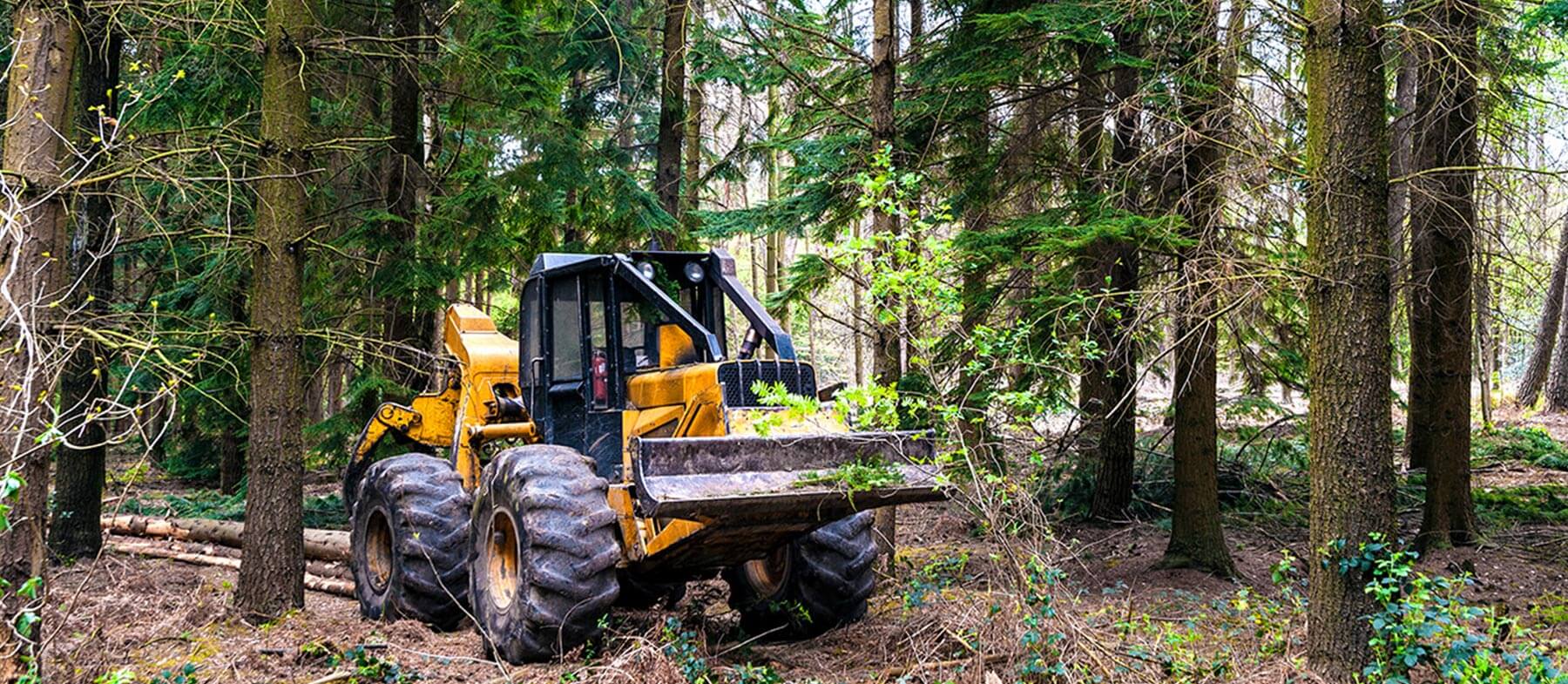 Southern Loggers