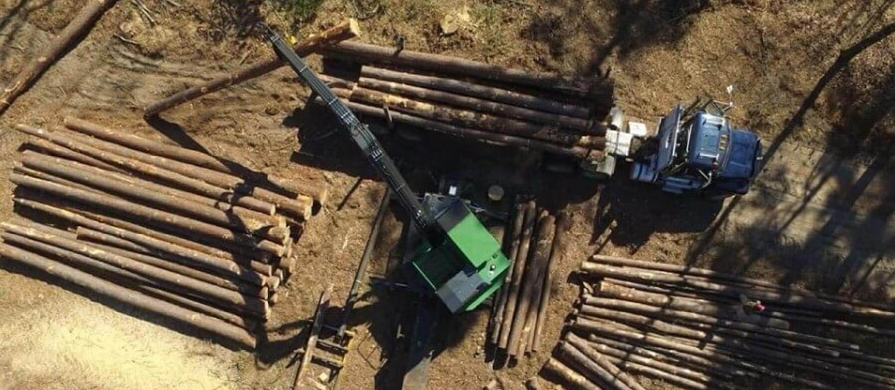 Southern Loggers